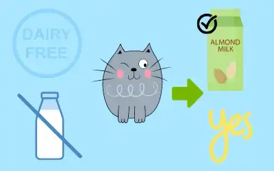 are cats lactose intolerant