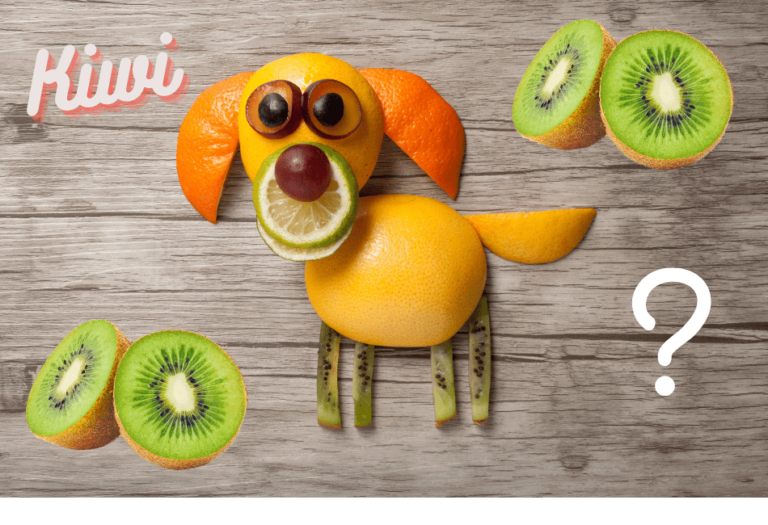 Can Dogs Have Kiwi? Down Under? Yes And No