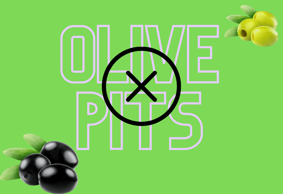 are olives bad for dogs