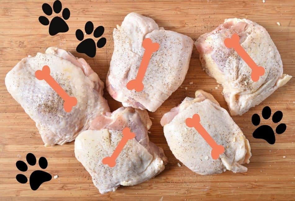 can dogs eat raw chicken thighs
