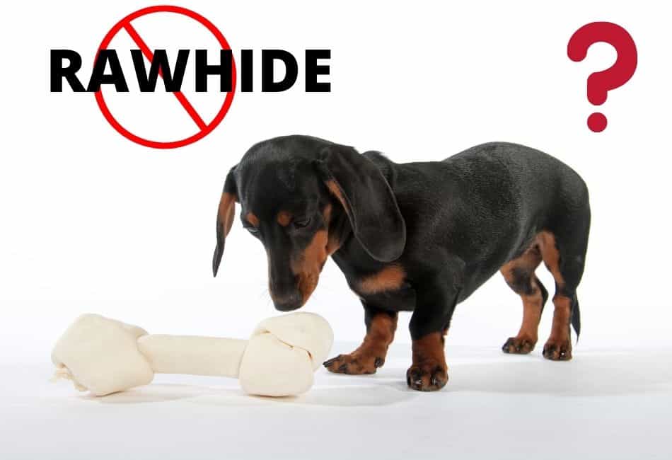 rawhide bones not good for dogs