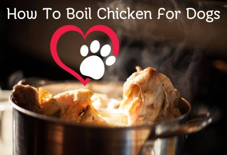 How To Boil Chicken For Dogs:  How To Guide 2022 - Raw, Cooked, Organic + Recipes