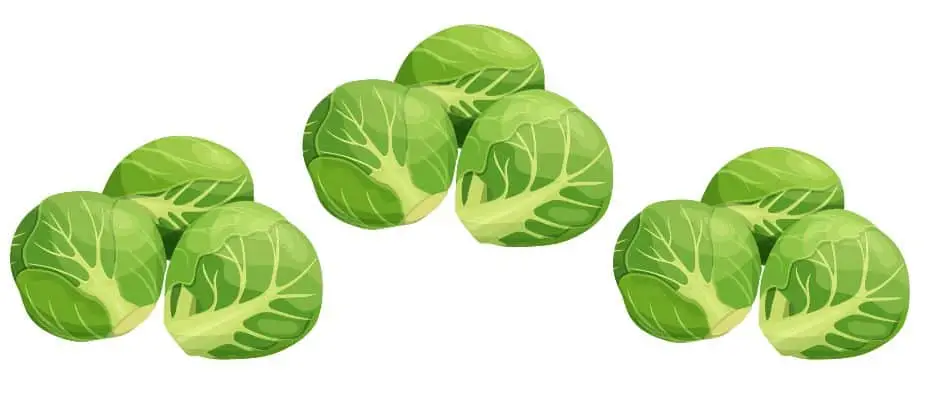 what are brussel sprouts