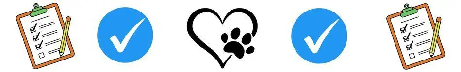 guide to adopting a dog