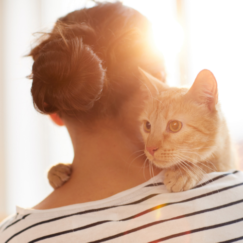 Healing That Starts at the Root